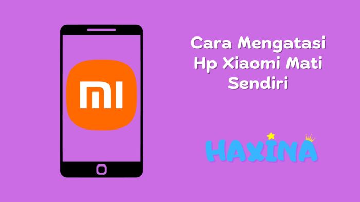 Hp xiaomi mati total cara perbaikinya sendiri dirumah