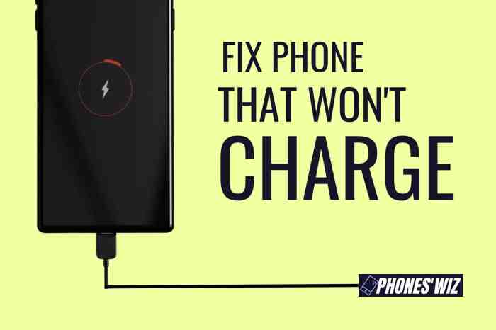 Phone charging battery charge not died problem